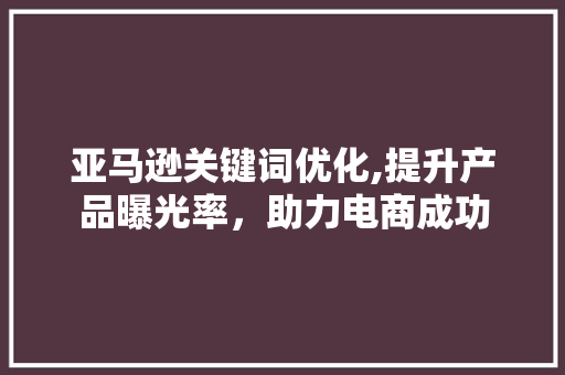 亚马逊关键词优化,提升产品曝光率，助力电商成功 小程序开发