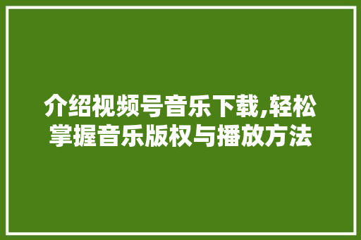 介绍视频号音乐下载,轻松掌握音乐版权与播放方法