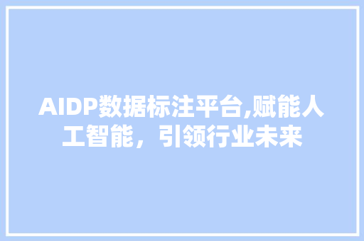 AIDP数据标注平台,赋能人工智能，引领行业未来