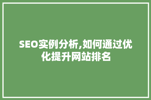 SEO实例分析,如何通过优化提升网站排名 英文谷歌算法