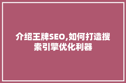 介绍王牌SEO,如何打造搜索引擎优化利器