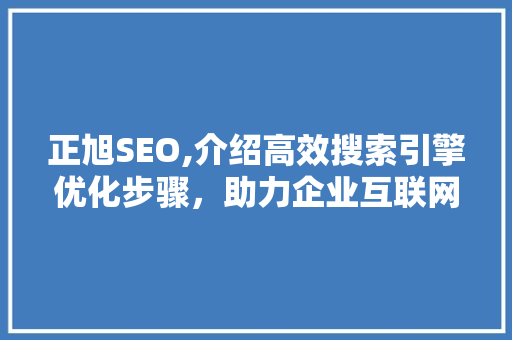 正旭SEO,介绍高效搜索引擎优化步骤，助力企业互联网营销 seo技术