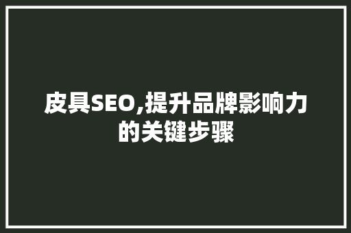 皮具SEO,提升品牌影响力的关键步骤 360搜优化