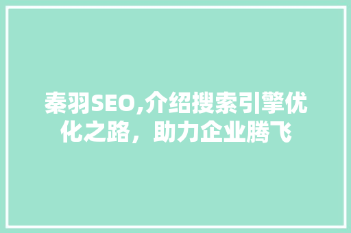 秦羽SEO,介绍搜索引擎优化之路，助力企业腾飞