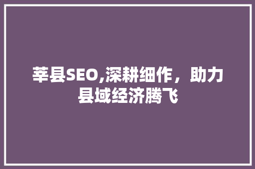 莘县SEO,深耕细作，助力县域经济腾飞