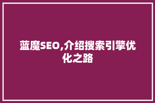 蓝魔SEO,介绍搜索引擎优化之路