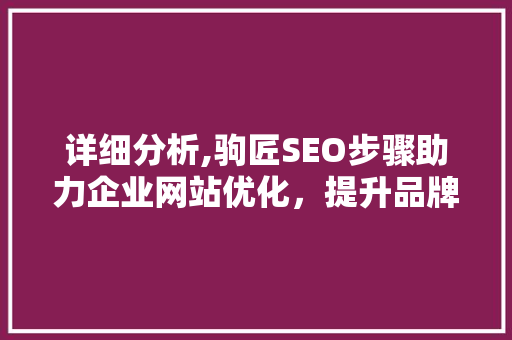 详细分析,驹匠SEO步骤助力企业网站优化，提升品牌影响力
