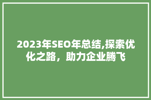 2023年SEO年总结,探索优化之路，助力企业腾飞