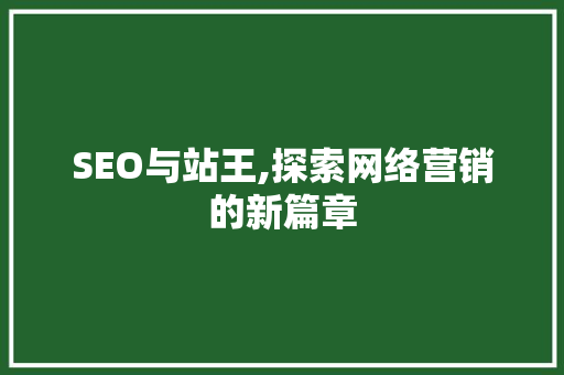 SEO与站王,探索网络营销的新篇章
