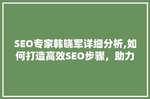 SEO专家韩晓军详细分析,如何打造高效SEO步骤，助力企业网站优化 百度算法