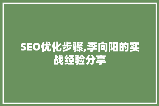 SEO优化步骤,李向阳的实战经验分享