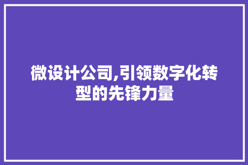 微设计公司,引领数字化转型的先锋力量
