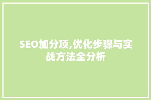 SEO加分项,优化步骤与实战方法全分析