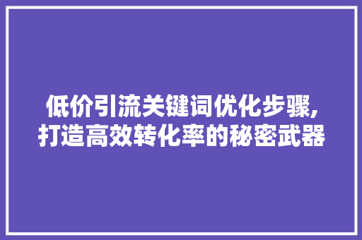 低价引流关键词优化步骤,打造高效转化率的秘密武器 英文谷歌算法