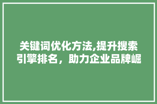 关键词优化方法,提升搜索引擎排名，助力企业品牌崛起 网站优化