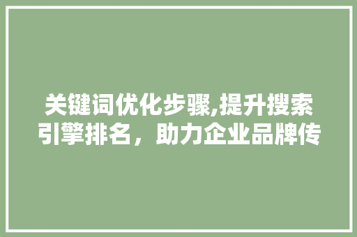 关键词优化步骤,提升搜索引擎排名，助力企业品牌传播 网站优化