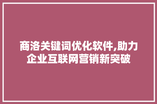 商洛关键词优化软件,助力企业互联网营销新突破 网站优化