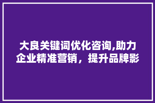 大良关键词优化咨询,助力企业精准营销,提升品牌影响力 seo技术 大良关键词优化咨询,助力企业精准营销,提升品牌影响力 seo技术