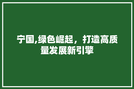 宁国,绿色崛起，打造高质量发展新引擎 百度算法