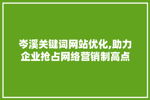 岑溪关键词网站优化,助力企业抢占网络营销制高点
