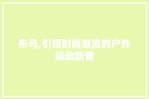 布马,引领时尚潮流的户外运动新宠