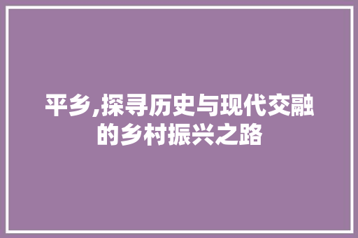 平乡,探寻历史与现代交融的乡村振兴之路 网站开发