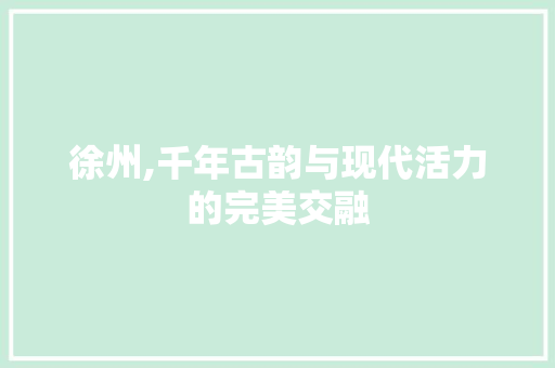 徐州,千年古韵与现代活力的完美交融