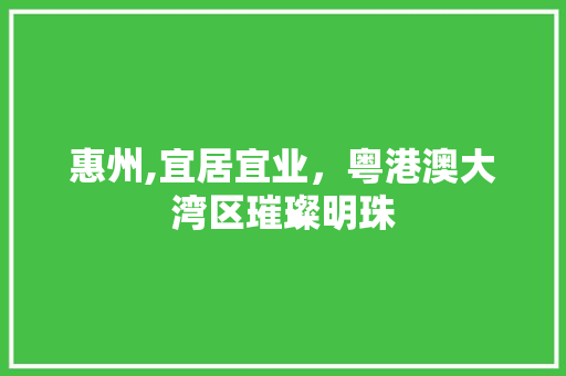 惠州,宜居宜业，粤港澳大湾区璀璨明珠 小程序开发