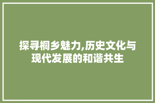 探寻桐乡魅力,历史文化与现代发展的和谐共生