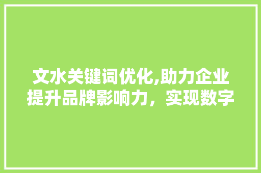 文水关键词优化,助力企业提升品牌影响力，实现数字化转型 百度算法