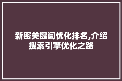 新密关键词优化排名,介绍搜索引擎优化之路