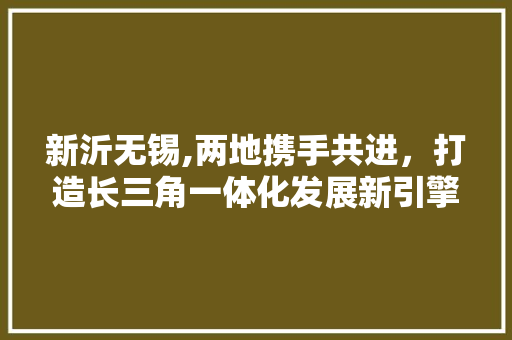 新沂无锡,两地携手共进，打造长三角一体化发展新引擎