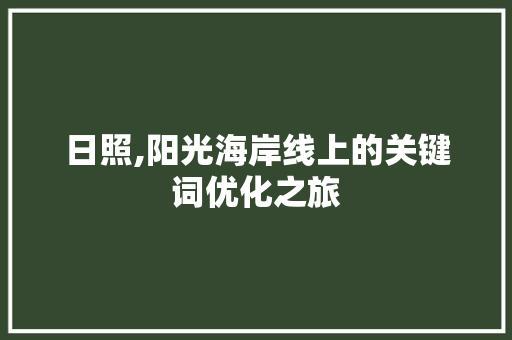 日照,阳光海岸线上的关键词优化之旅