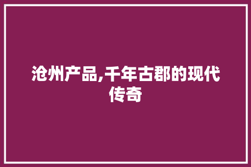 沧州产品,千年古郡的现代传奇