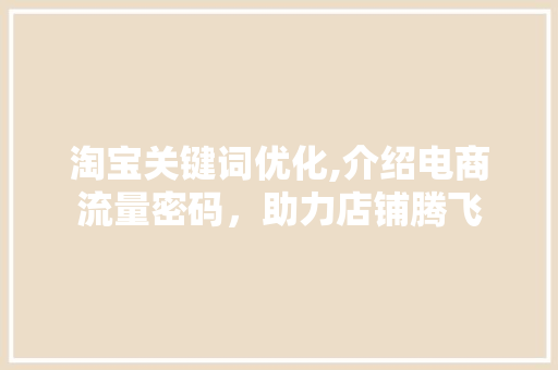 淘宝关键词优化,介绍电商流量密码，助力店铺腾飞 小程序开发
