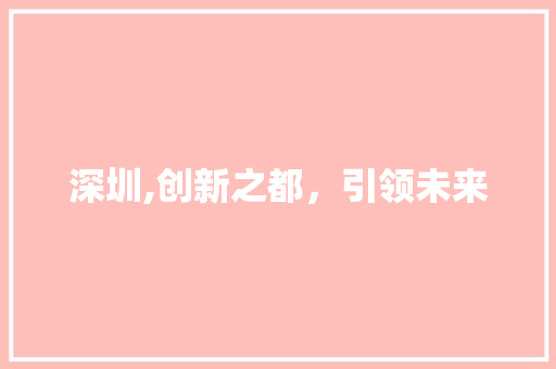 深圳,创新之都，引领未来 seo技术