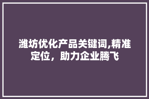潍坊优化产品关键词,精准定位，助力企业腾飞