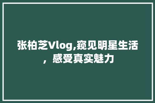 张柏芝Vlog,窥见明星生活，感受真实魅力 seo技术