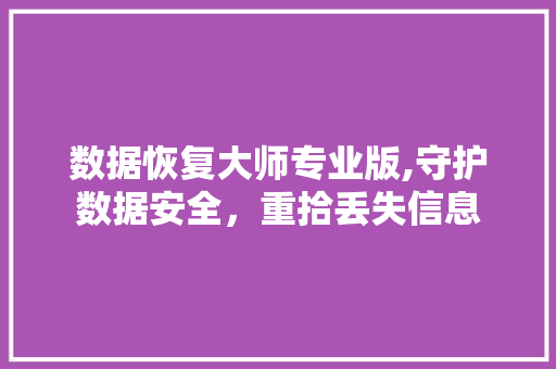 数据恢复大师专业版,守护数据安全，重拾丢失信息 小程序开发