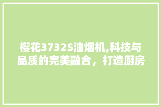 樱花3732S油烟机,科技与品质的完美融合，打造厨房新风尚