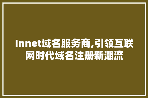Innet域名服务商,引领互联网时代域名注册新潮流