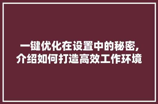 一键优化在设置中的秘密,介绍如何打造高效工作环境