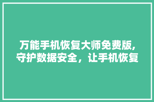 万能手机恢复大师免费版,守护数据安全，让手机恢复不再难