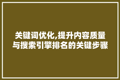 关键词优化,提升内容质量与搜索引擎排名的关键步骤 网站开发