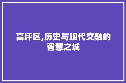 高坪区,历史与现代交融的智慧之城 网站开发