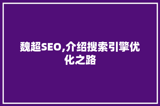 魏超SEO,介绍搜索引擎优化之路 网站开发