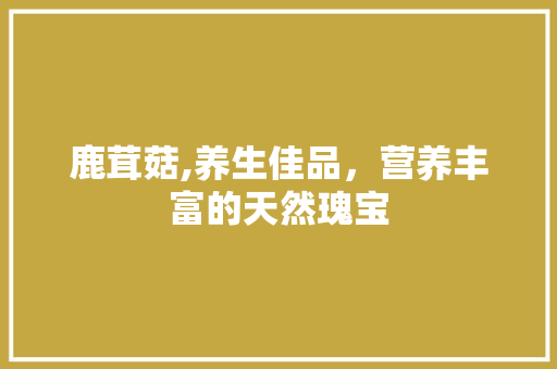 鹿茸菇,养生佳品，营养丰富的天然瑰宝 360搜优化