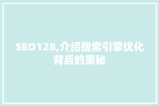 SEO128,介绍搜索引擎优化背后的奥秘