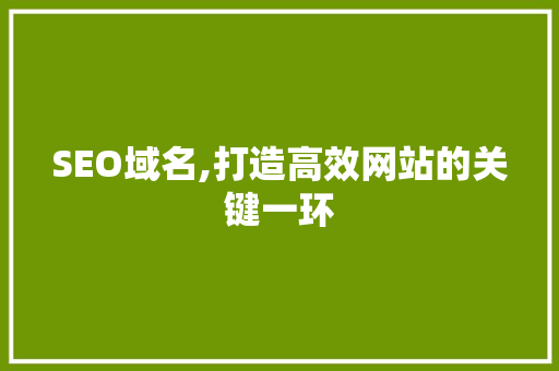 SEO域名,打造高效网站的关键一环