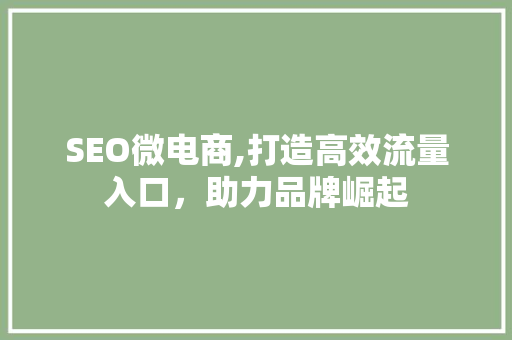 SEO微电商,打造高效流量入口，助力品牌崛起